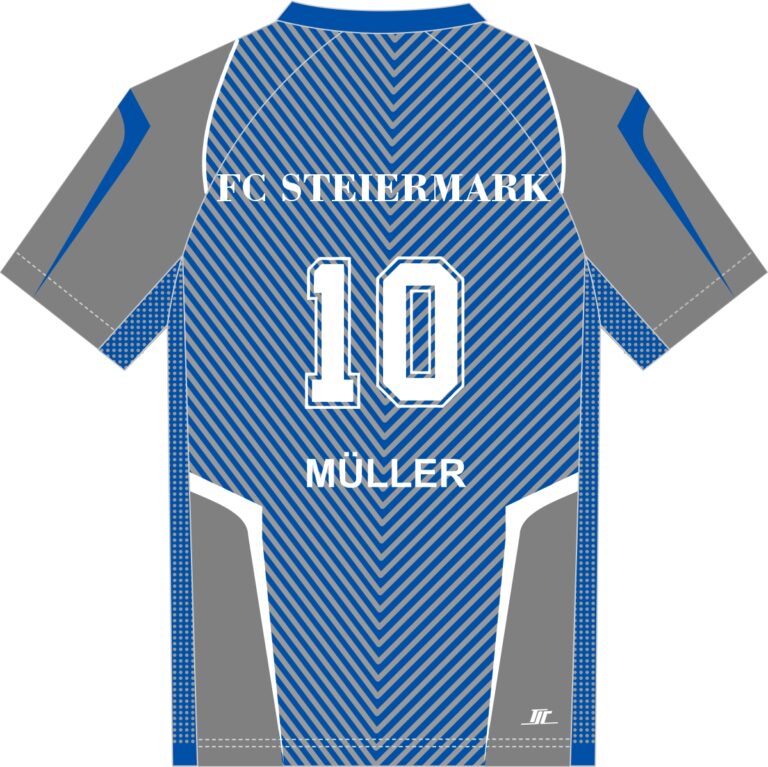 Volleyballtrikot Champions